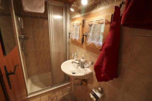 y baño pequeño con lavabo y ducha. en Le P'ti Tzi-Mé, en Villars-sur-Ollon
