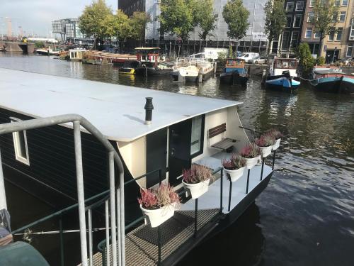 Boat no Breakfast في أمستردام: يتم رسو قارب في الماء مع نباتات الفخار