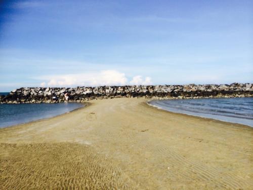 a beach with a bunch of birds on the shore at thai-scout in Pran Buri