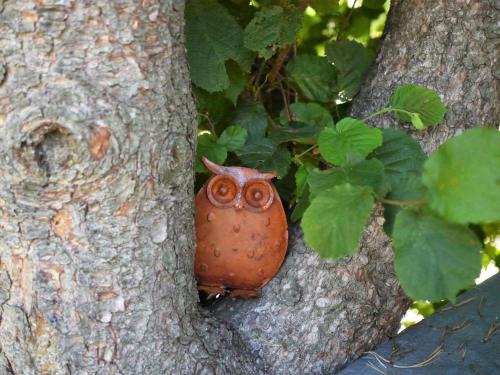 Φωτογραφία από το άλμπουμ του FeWo KeDo σε Neukirchen vorm Wald