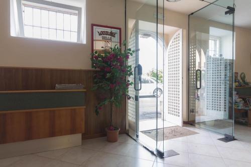 a lobby with a glass door and a potted plant at Hotel Lido in Gargnano