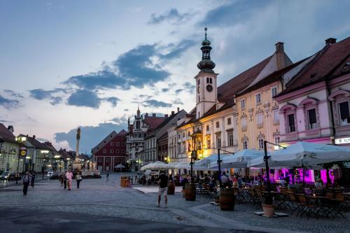 Foto dalla galleria di HABAKUK Wellness & Event Hotel a Maribor