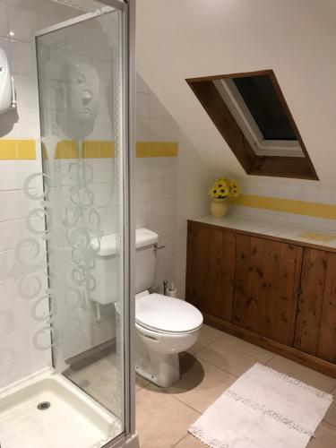 a bathroom with a toilet and a shower at The Pear Tree in Hook Norton