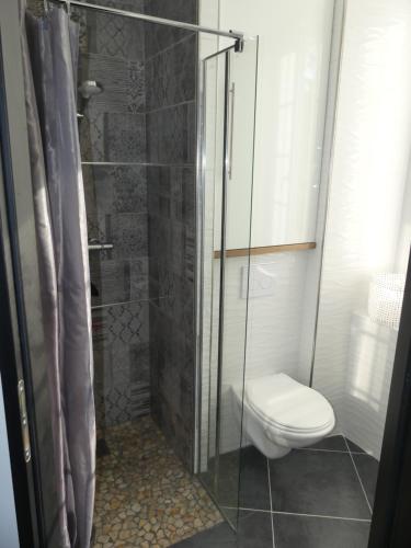 e bagno con servizi igienici e doccia in vetro. di Agréable appartement à CAMBO LES BAINS a Cambo-les-Bains
