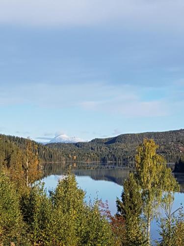 a view of a lake in the fall at Libehi Panorama in Lona