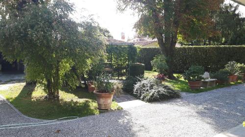 a garden with potted plants and a hose at Villa Ippocastano in Lucca