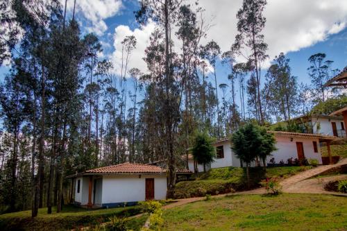 a house in the middle of a forest at La Ensenada Hotel Chachapoyas in Chachapoyas