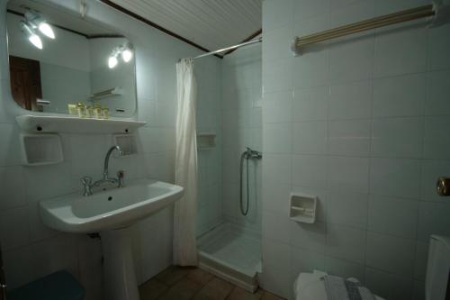 een badkamer met een douche, een wastafel en een douche bij Pegasus Hotel in Pythagoreio