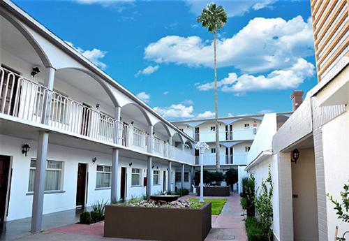 a row of white buildings with a palm tree in the middle at Hotel Posada Tierra Blanca in Chihuahua