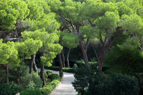 a path through a forest of trees in a garden at Roccamare Resort - Casa di Ponente in Castiglione della Pescaia