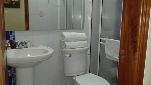a bathroom with a toilet and a sink and a shower at Hotel San Miguel Imperial in Santa Marta