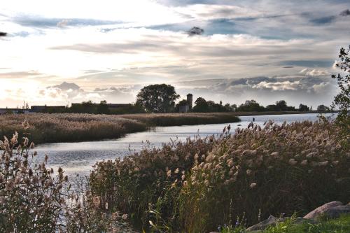 a river with tall grass and a cloudy sky at Holmi Maja in Haapsalu