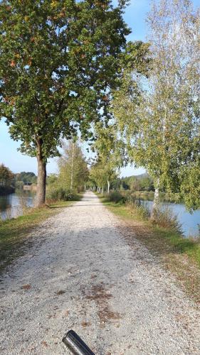a dirt road with trees on the side of a river at helles Dachstudio in Allershausen