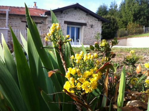 Gîte de la Collonge – Photos 5