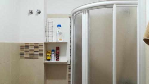 アリナガにあるApartamento la piedra viva 2 arinagaの浴室のガラス扉付きシャワー