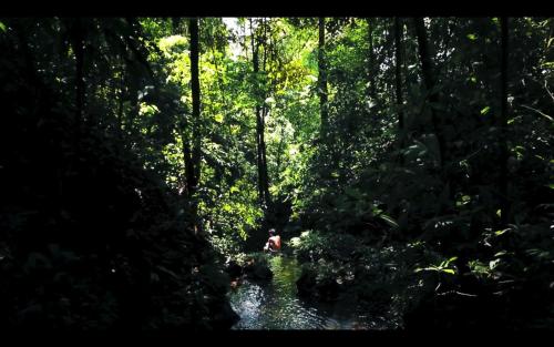 a person in the middle of a stream in a forest at Lodge El Amargal - Reserva Natural, Ecoturismo & Surf in Nuquí