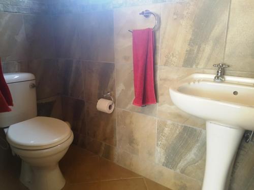 a bathroom with a white toilet and a sink at Big Boma Guest House in Lydenburg