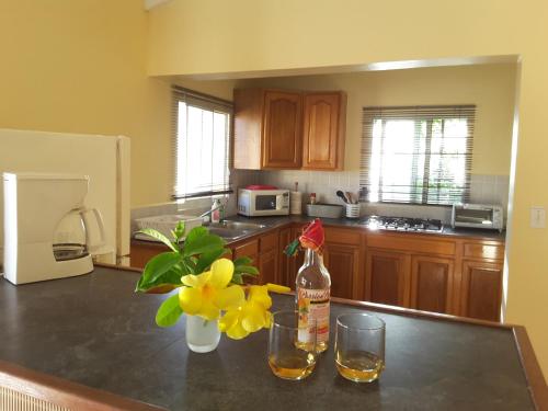 Dapur atau dapur kecil di Ocean Shore