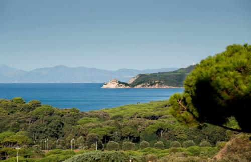 a view of the ocean from a hill with trees at Roccamare Resort - Casa di Ponente in Castiglione della Pescaia