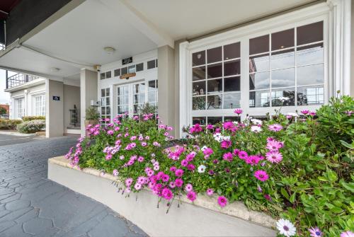 Albany的住宿－奧爾巴尼宜必思尚品酒店，花坛,在建筑物前的粉红色花朵