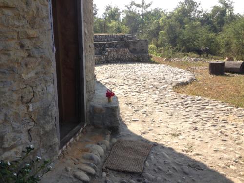 Foto dalla galleria di Shanta Ghar A Rustic Guesthouse a Chitwan