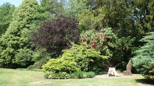 a garden with a tree in the grass at Wassermühle Eldingen in Eldingen