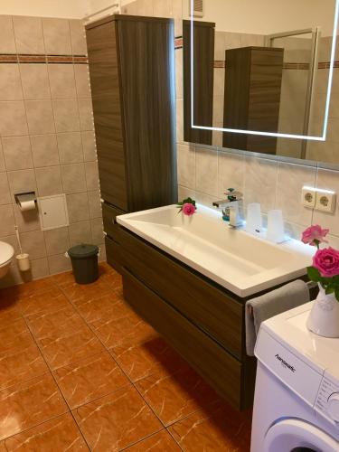 een badkamer met een wastafel en een spiegel bij Ferienwohnung am Wasser Villa Graf von Pfeil in Dresden