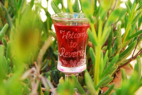 a red drink in a glass in a plant at Reverie Santorini Hotel in Firostefani