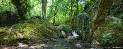 a stream in a forest with rocks and trees at ibis Falaise Coeur de Normandie in Falaise