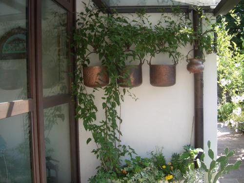 a group of potted plants on the side of a building at B&B SCACCIA PENSIERI in Tarcento