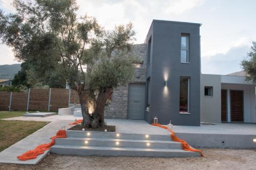 a house with a tree in the front of it at Lefkas Villas in Lygia