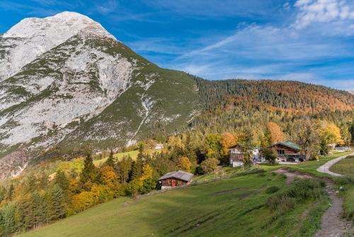 a mountain with a house and a road next to it at Ropferhof in Telfs-Buchen