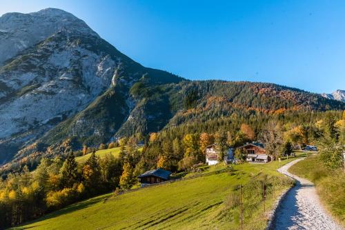 a valley with a mountain in the background at Ropferhof in Buchen