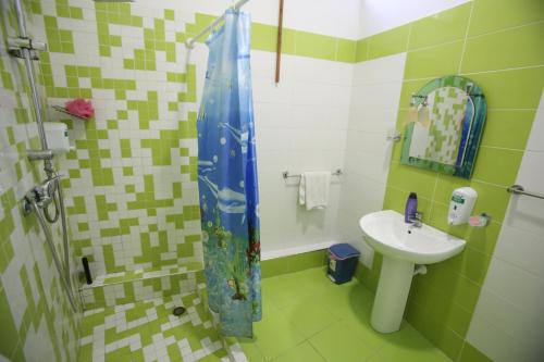 a small bathroom with a sink and a shower at Hotel Pasarela in Berat