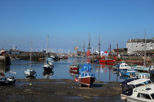 a group of boats are docked in a harbor at Devoncourt Devoncoast SeaView Apartments in Brixham