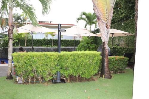 a hedge with an umbrella and two palm trees at 11B Jaco Sol Quadplex in Jacó