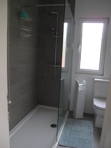 a bathroom with a shower and a toilet at Simon's Cosy House in Bangor