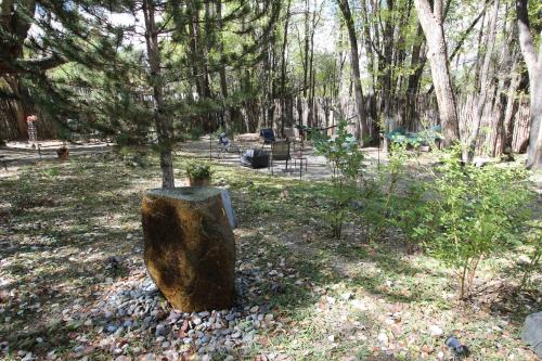 a tree stump sitting in the middle of a park at Dreamcatcher B&B in Taos
