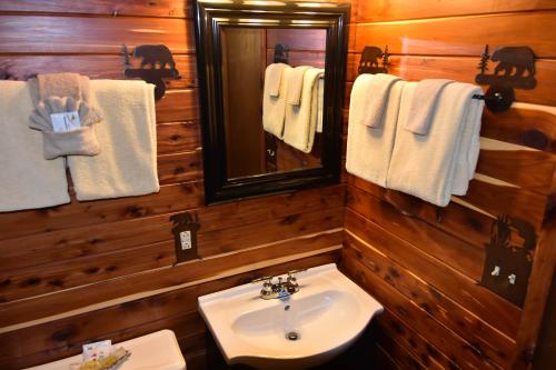 a bathroom with a sink and a mirror and towels at Alpine Lodge Resort in Branson