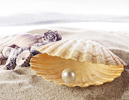 a shell with a pearl in it on the beach at La Perla Bentota in Bentota