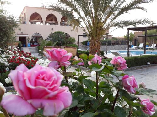 a bunch of pink roses in front of a building at Taloute Ecolodge in Skoura