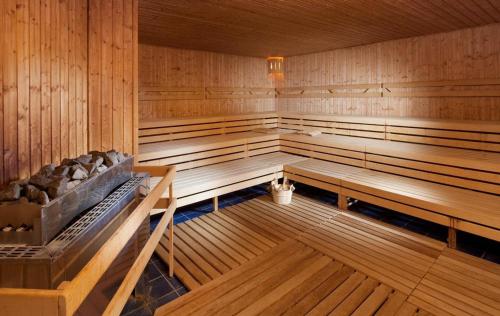 an empty sauna with wooden walls and benches at Wellness & Spa Apartments Lipno - Frymburk in Frymburk