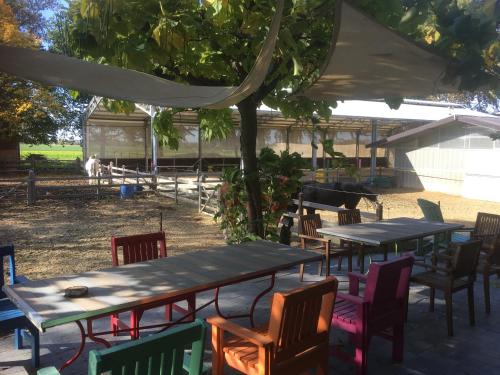 a group of tables and chairs under a tree at B&B Le Moulin de Fernelmont in Forville