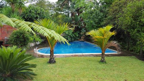una piscina con 2 palmeras en un patio en African Dwarf Kingfisher Guesthouse, en Eshowe