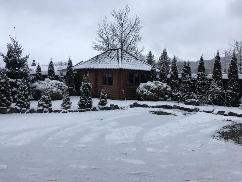 a house in a yard covered in snow at Girskyi Kut in Kuty