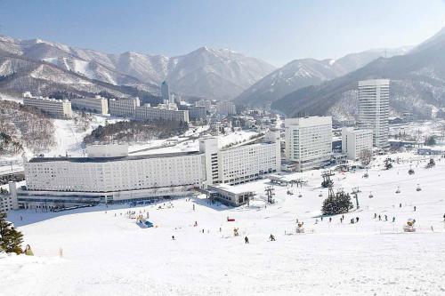 een groep mensen op een skipiste in de sneeuw bij Naeba Ski Resort & Fuji Rock in Yuzawa