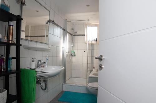 uma casa de banho com um lavatório, um chuveiro e um WC. em FeWo Casa Mallorca em Coesfeld