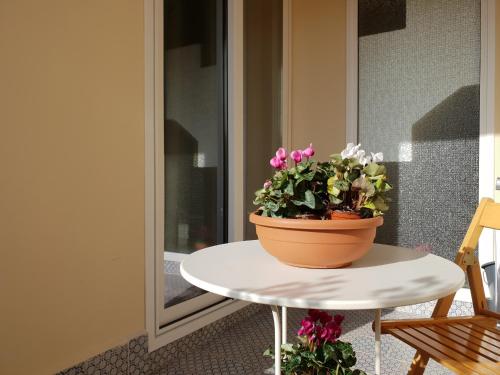 une plante en pot assise sur une table à côté d'une fenêtre dans l'établissement Rifinito bilocale in centro, Casa Verdi, 2° Piano, à Bagheria