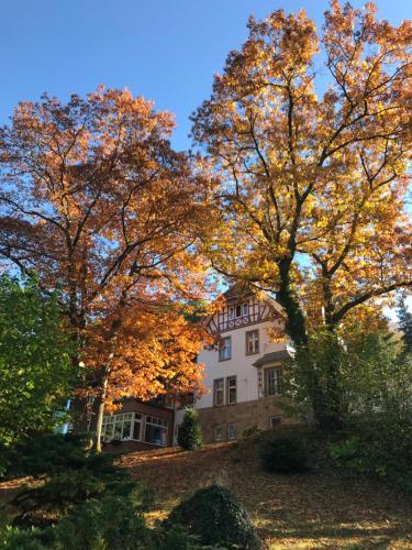 duży biały dom z drzewami przed nim w obiekcie Waldhotel Bad Münstereifel w mieście Bad Münstereifel