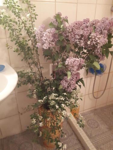 a vase filled with purple flowers in a bathroom at Fónagy és Walter Vendég- és Borház in Vác